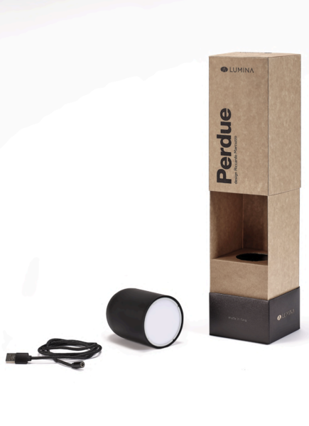 Perdue Portable Lamp